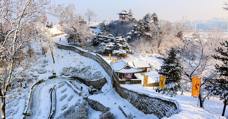 공산성의 겨울 | 입선 이미지