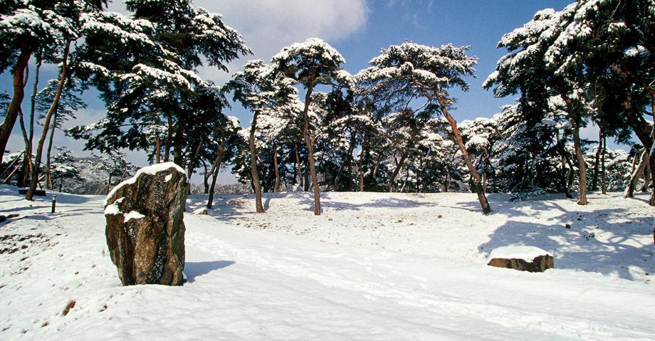 곰나루겨울 - 이상식 | 입선 이미지